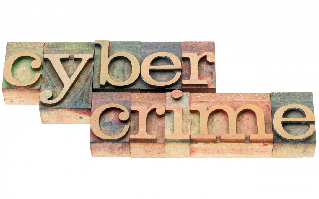 ERP Cybercrime