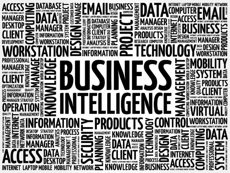 Data Supply Chain Models for Business Intelligence