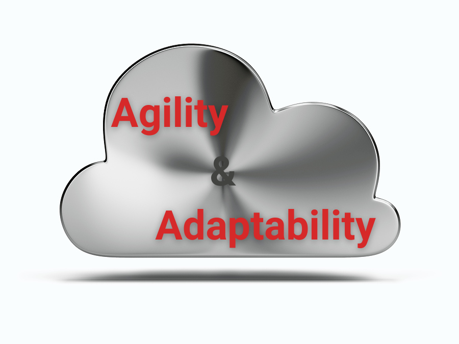 silver cloud with words agility and adaptability