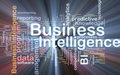 Navigating Business Intelligence (BI) Software Management