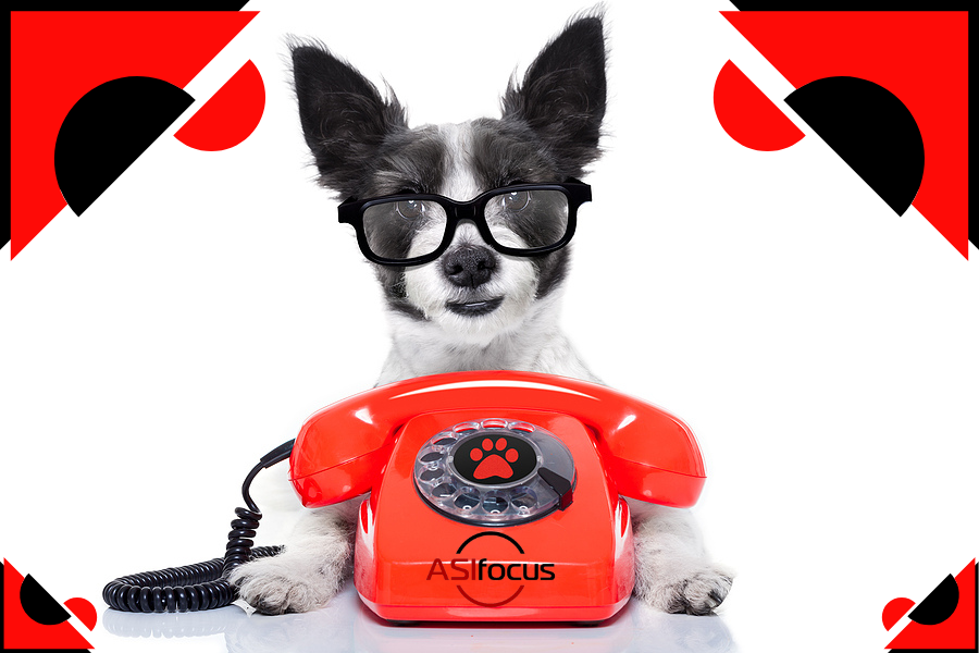 Office Technology Industry - terrier behind rotary phone